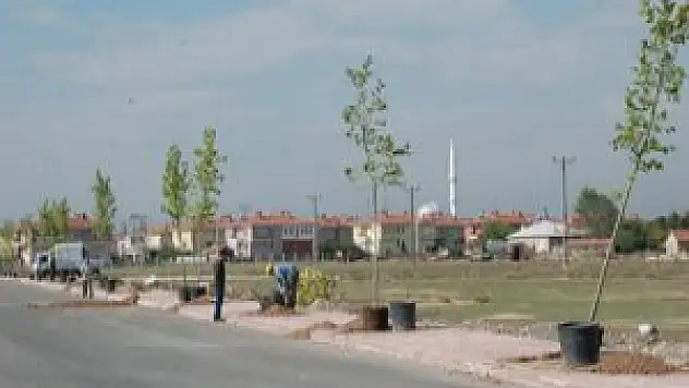 Karatay'da ağaçlandırma çalışmaları devam ediyor