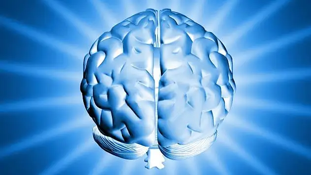 Yaşlanmaya bağlı hafıza kaybına çözüm yakın