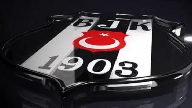Beşiktaş'ı üzen hakem!
