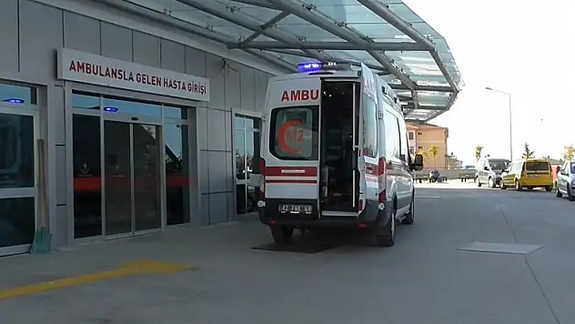 Beyşehir'de yüksekten düşme vakalarında artış yaşandı