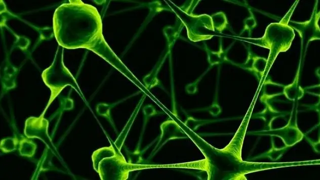 Samsun'da mers virüsü şüphesi