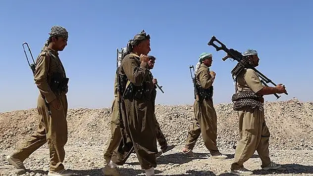 10 Peşmerge Kobani'ye geçti