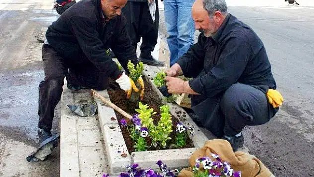 ''BİT''lerde istihdam arttı