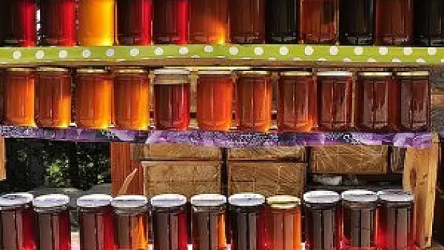 Meşe balı hastalıklardan 'korunma' kalkanı