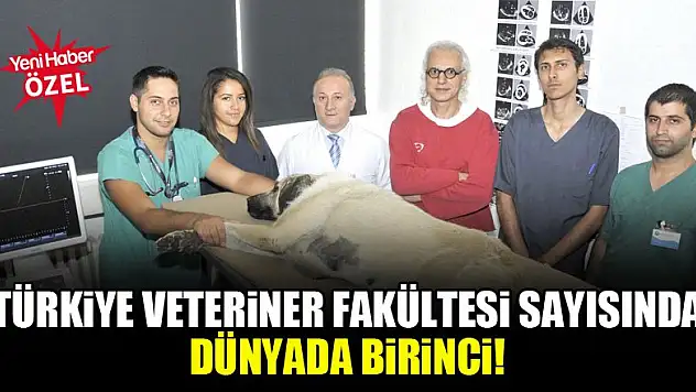 Türkiye veteriner fakültesi sayısında dünyada birinci!