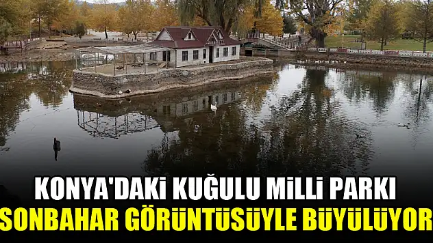 Konya'daki Kuğulu Milli Parkı sonbahar görüntüsüyle büyülüyor