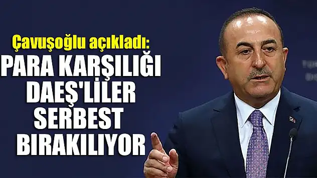 Çavuşoğlu: Para karşılığı DAEŞ'liler serbest bırakılıyor