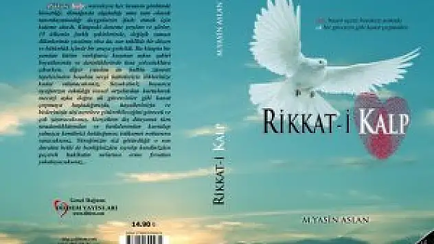 Kargaşadan Huzura Yolculuk