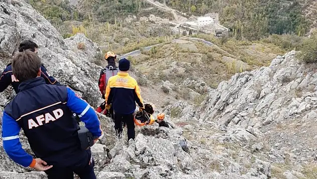 Konya'da dağda mahsur kalan keçileri AFAD kurtardı