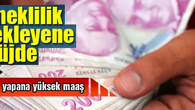 Emeklilik bekleyene müjde: Bunu yapana yüksek maaş