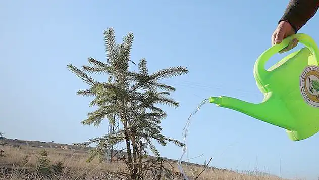 Bugün fidan yarın nefes