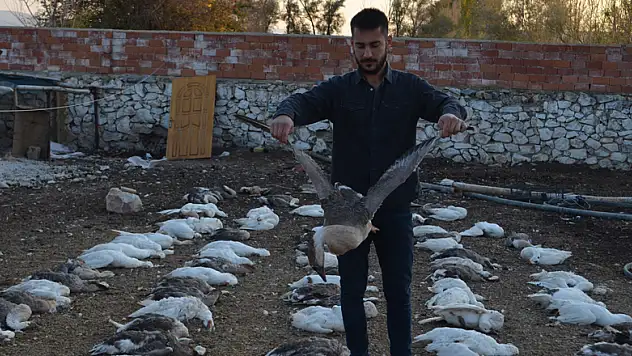 Konya'da 150 kaz telef oldu