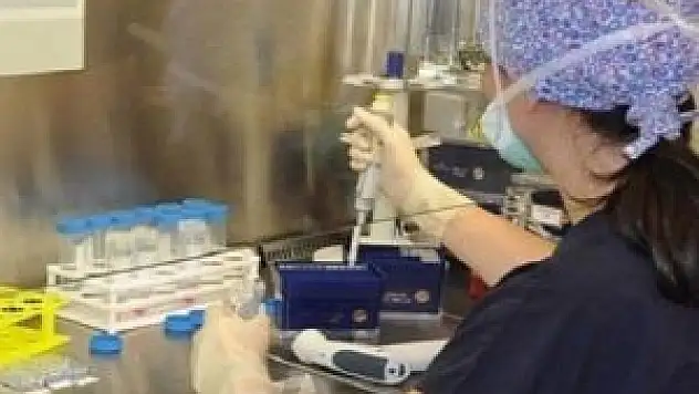 Antibiyotiğe alternatif geliştirildi