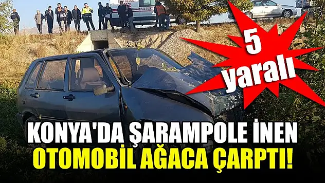 Konya'da şarampole inen otomobil ağaca çarptı: 5 yaralı