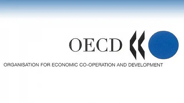 OECD'den Türkiye için büyüme tahmini