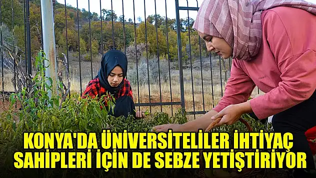 Konya'da üniversiteliler ihtiyaç sahipleri için de sebze yetiştiriyor