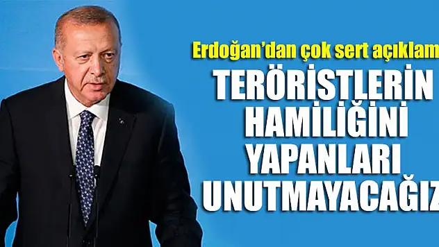 Erdoğan: Teröristlerin hamiliğini yapanları unutmayacağız