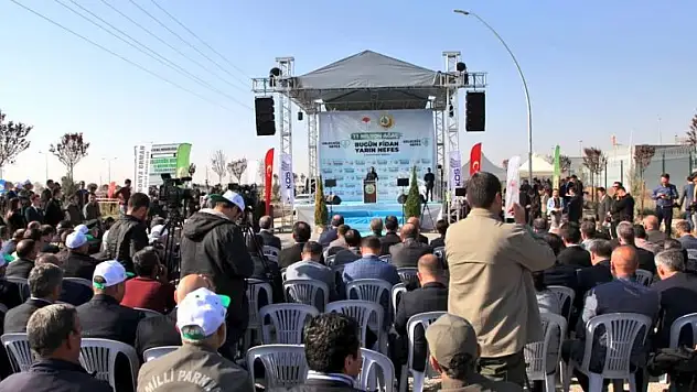 KOSKİ'den 'Geleceğe Nefes' için 42 bin fidan