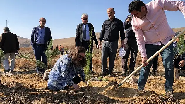 Hüyük'ten ağaçlandırma seferberliğine 20 bin fidanla destek