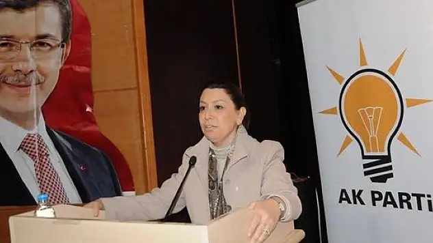 AK Partili Çalık: HDP engel olamayacak