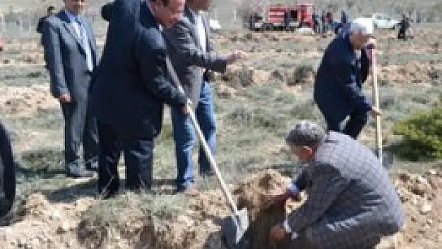 Ereğli'de 10 bin fidan daha toprakla buluştu