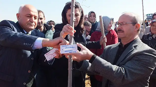 Konya Ak Parti fidan dikti