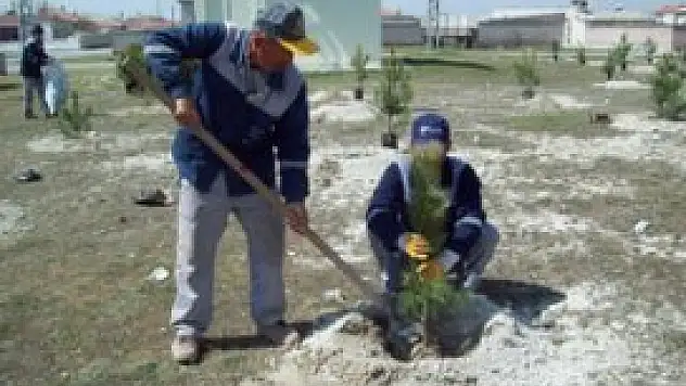 Karapınar'da ağaç dikme çalışmaları sürüyor