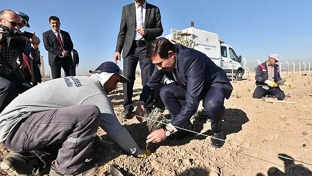 Karatay'da lavanta bahçesi kuruluyor