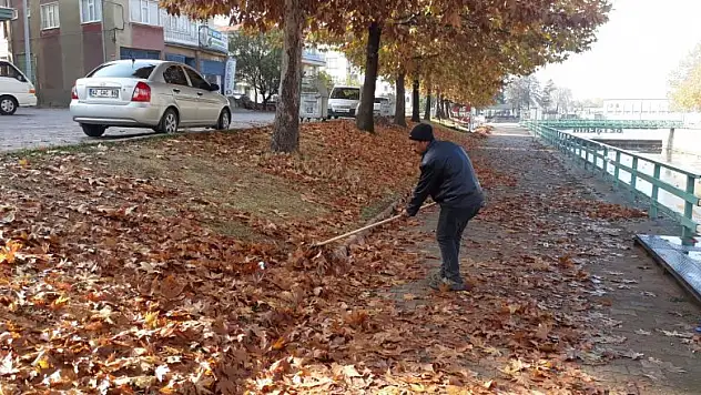 Beyşehir'de yaprak toplama mesaisi sürüyor