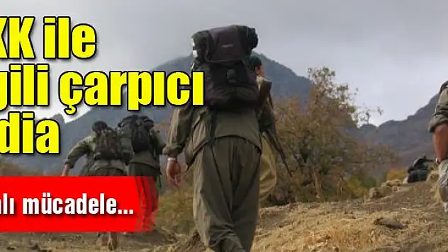 PKK ile ilgili çarpıcı iddia