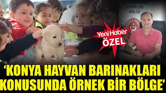 'Konya hayvan barınakları konusunda örnek bir bölge'