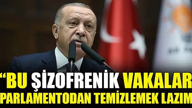 Erdoğan: Bu şizofrenik vakaları parlamentodan temizlemek lazım