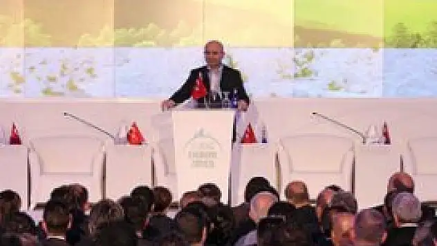 'Tasarrufları Türkiye'ye aktaracağız'