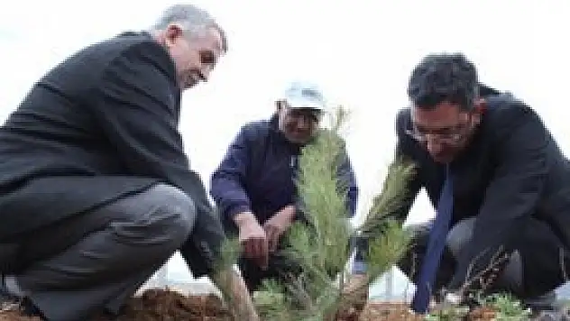 Kompen'de her çalışana bir fidan