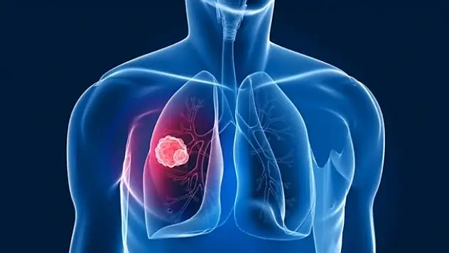 150 yıl yaşayan organ