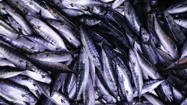 Tanesi 1 liraya düştü!