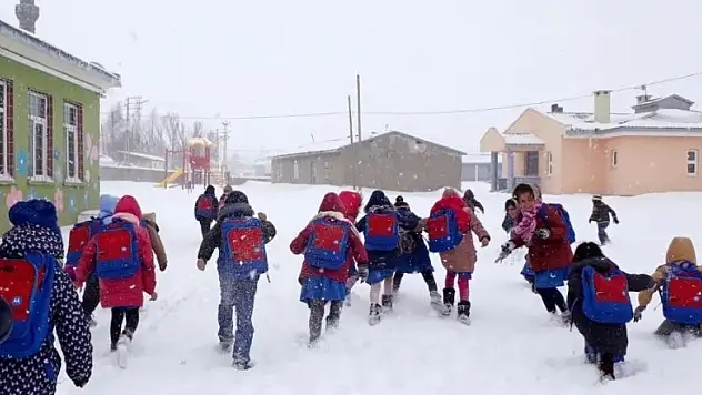 Gümüşhane'de 2 ilçede okullara kar tatili