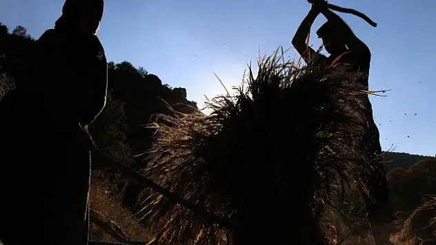 Tarımsal destekleme ve üretimde artış