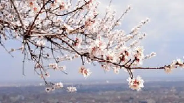 Hafta sonu hava sıcaklığı artacak