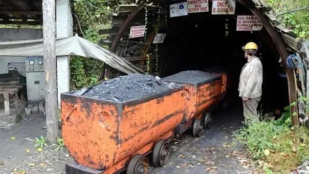 Kömüre yüzde 10 zam!