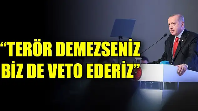 Cumhurbaşkanı Erdoğan: Terör demezseniz biz de veto ederiz