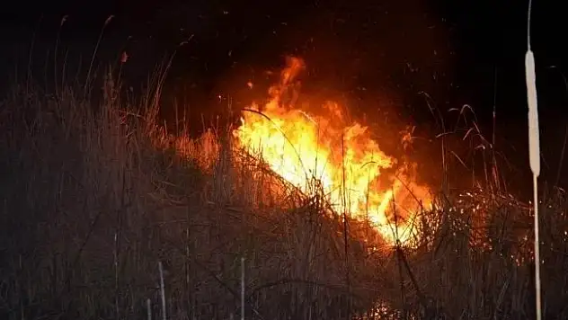 Beyşehir Gölü Milli Parkı'nda yangın paniği