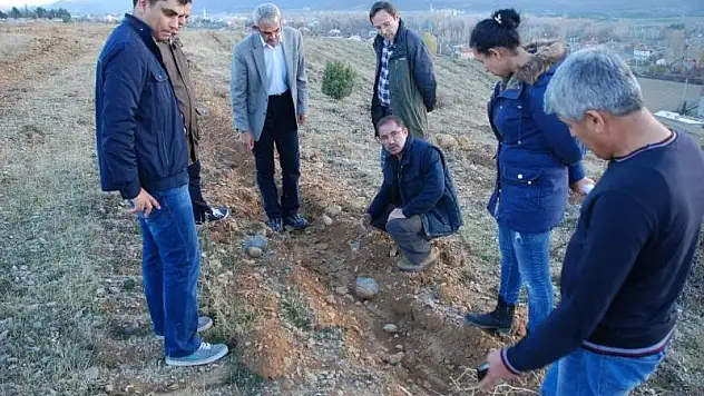NEÜ Seydişehir Kampüsü koru ormanı olacak