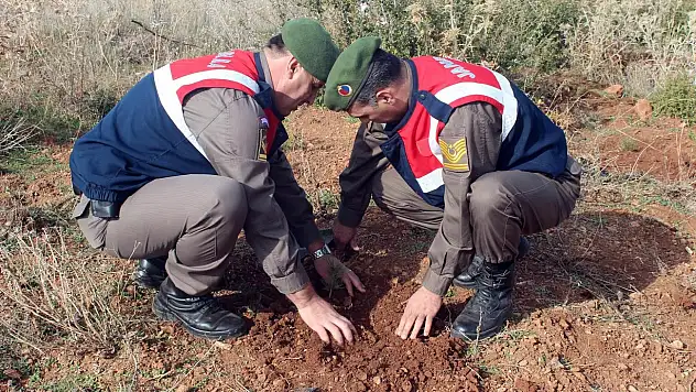 Beyşehir'de 3 bin fidan toprakla buluştu