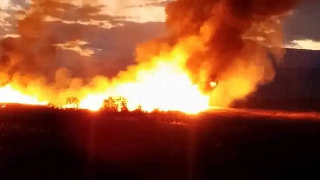 Beyşehir'de sazlık yangını