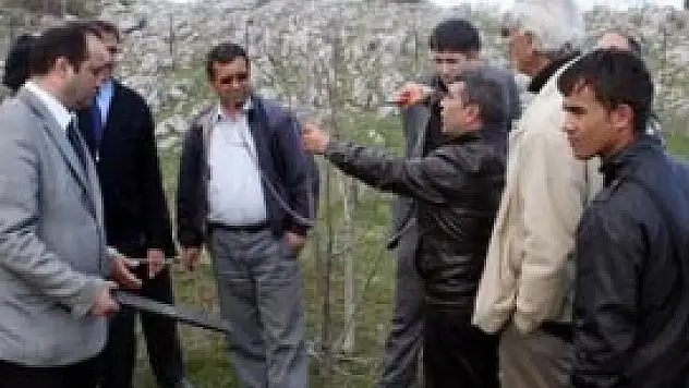 Çiftçilere uygulamalı ağaç budama eğitimi verildi