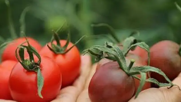 Ruslar istedi Türk mühendis ıslah etti