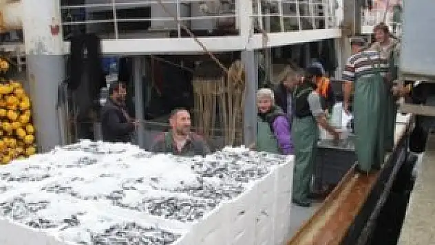 Balıkta denge sorunu