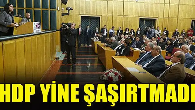HDP yine şaşırtmadı: Skandal 'soykırım' kararını destekledi