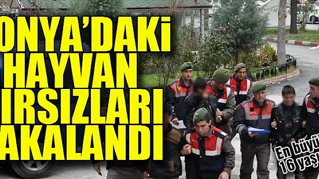 Akşehir'de hayvan hırsızlığı yapan 4 kişi yakalandı